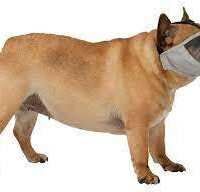 Trixie - Trixe Muzzle for short-nosed breeds - szájkosár (szürke) rövid orrú kutyák részére (S) 31cm
