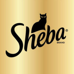 Mars-Nestlé - Sheba Adult Alutálcás - Szárnyas szószban (85g)