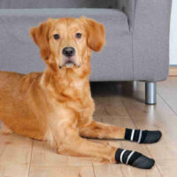 Trixie - Trixie Dog Socks - zokni (csúszásmentes gumitalppal