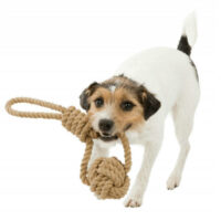Trixie - Trixie Be Nordic Woven-in Rope Ball - játék poliészterből (kötél labda) kutyák részére (Ø7/20cm)