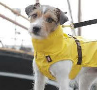 Trixie - Trixie Dog raincoat Vimy - esőkabát (sárga) kutyák részére (S) 35cm