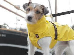 Trixie - Trixie Dog raincoat Vimy - esőkabát (sárga) kutyák részére (S) 35cm