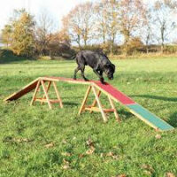 Trixie - Trixie Agility Dogwalk - agility akadály (palló) kutyák részére (456x64x30cm)