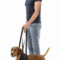 Trixie - Trixie Walking Aid - Sétáltatást segítő kutyahám - fekete - (L-XL) 75–85cm/50kg