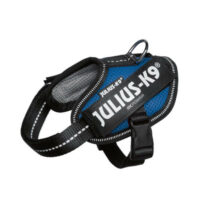 JULIUS-K9 - Julius-K9 IDC POWAIR - hám (kék