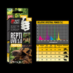 ReptiPlanet - Repti Planet Tropical Repti - trópusi terráriumokhoz izzó (UVB 5.0/13W)