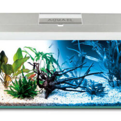 Aqua-el - AquaEl Leddy Day & Night 40 white - akvárium szett (fehér) 25l/41x25x25cm