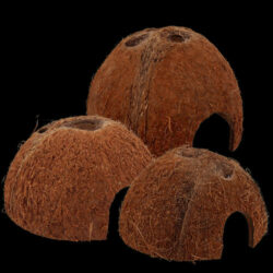 ReptiPlanet - Repti Planet Coconut shell - kókuszhéj ház (S) terráriumi állatok részére