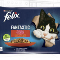 Mars-Nestlé - Felix Fantastic (marha