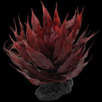 ReptiPlanet - Repti Planet Plant Agave Red - műnövény (piros Agave) 18cm