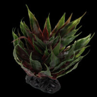 ReptiPlanet - Repti Planet Plant Agave Green - műnövény (zöld Agave) 18cm