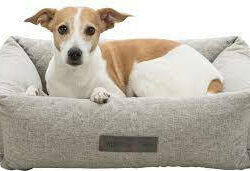 Trixie - Trixie Vital Bed Noah - szögletes fekhely (világosszürke) kutyák részére (80x60cm)