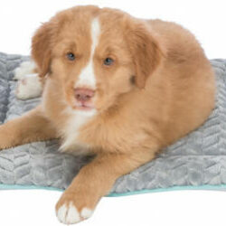 Trixie - Trixie junior lying mat - fekhely (világosszürke/menta) kölyök kutyák részére (50x40cm)