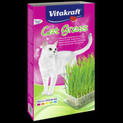 Vitakraft - Vitakraft Cat Grass - kiegészítő eleség dobozban (macskafű vetőmag) 120g