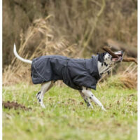 Trixie - Trixie Calvi Dog Coat - kabát (fekete) kutyák részére (L) 62cm
