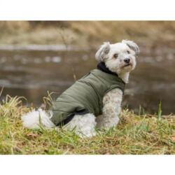 Trixie - Trixie Arlay Dog Coat - kabát (sötétzöld) kutyák részére (XXS) 24cm