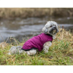 Trixie - Trixie Arlay Dog Coat - kabát (bordó/berry) kutyák részére (XS) 27cm