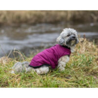 Trixie - Trixie Arlay Dog Coat - kabát (bordó/berry) kutyák részére (S) 40cm