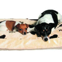 Trixie - Trixie Gino Cushion - négyszögletes párna (világosbarna) kutyák részére (60x40cm)