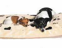 Trixie - Trixie Gino Cushion - négyszögletes párna (világosbarna) kutyák részére (80x55cm)