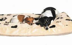 Trixie - Trixie Gino Cushion - négyszögletes párna (világosbarna) kutyák részére (80x55cm)