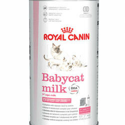 Royal Canin - Royal Canin BabyCat Milk - tejpótló tápszer macskák részére (300g)
