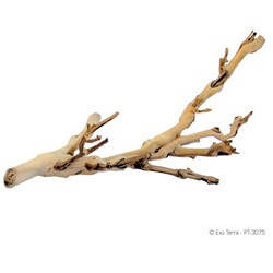 Hagen - Exo-Terra Forest Branch Sanblasted Grapevine Small  - Mászóágak terráriumba (szőlőből) - dekoráció (30cm)