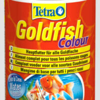 Tetra - TetraGoldfish Colour aranyhaleledel - 100 ml