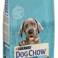 Purina - Purina Dog Chow Junior - Large (pulyka) - Szárazeledel (14kg)