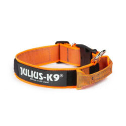 JULIUS-K9 - Julius K-9 Color&Gray nyakörv (40mm/38-53cm) narancs-szürke