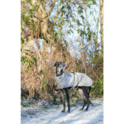 Trixie - Trixie Grenoble coat - gyapjú kabát (szürke) kutyák részére (XS) 30cm
