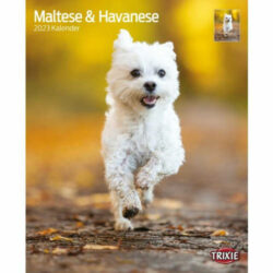 Trixie - Trixie Calendar Maltese & Havanese 2023 - naptár (Máltai