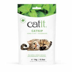 Hagen - hagen 44770 CA Catnip