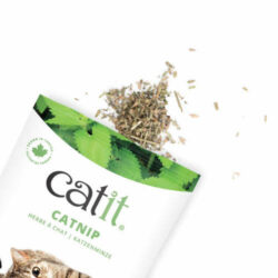 Hagen - Hagen Catit Catnip - jutalomfalat (macskamenta) macskák részére (28g)