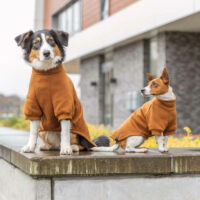 Trixie - Trixie CityStyle Amsterdam sweatshirt - pulóver (rozsda) kutyák részére (S) 33cm