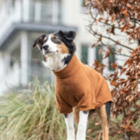 Trixie - Trixie CityStyle Amsterdam sweatshirt - pulóver (rozsdabarna) kutyák részére (M) 50cm