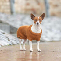 Trixie - Trixie Pullover CityStyle Berlin - pulóver (rozsdabarna) kutyák részére (S) 33cm