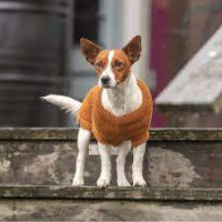 Trixie - Trixie Pullover CityStyle Berlin - pulóver (rozsdabarna) kutyák részére (S) 36cm