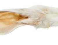KidDog - KidDog Rabbit Ears - jutalomfalat (szőrös nyúlfül) kutyák részére (500g)