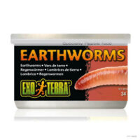 Hagen - Exo-terra Earthworms - speciális hüllőeledel (katonalégylárva) hüllők részére (34g)