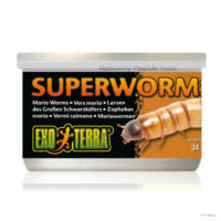 Hagen - Exo-Terra Superworms - speciális hüllőeledel (gyászbogárlárva) hüllők részére (34g)