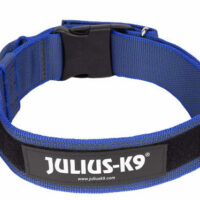JULIUS-K9 - JK9 Color&Gray nyakörv bizt.zárral