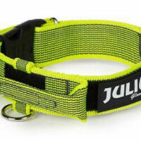 JULIUS-K9 - Julius K-9 Color&Gray nyakörv (40mm/38-53cm) neon-szürke
