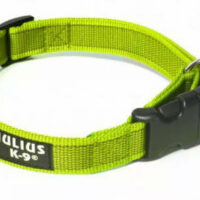 JULIUS-K9 - Julius K-9 Color&Gray nyakörv (20mm/27-42cm) neon-szürke
