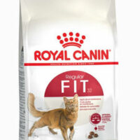 Royal Canin - RC.ci FIT32 (4kg)