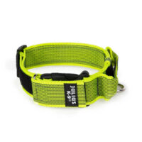 JULIUS-K9 - Julius K-9 Color&Gray nyakörv (40mm/38-53cm) neon-szürke