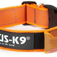 JULIUS-K9 - Julius K-9 Color&Gray nyakörv (50mm/49-70cm) szürke-narancs