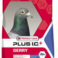 Versele-Laga - PR.Gerry Plus IC Borsó mentes versenykeverék 20kg(KIZÁRÓLAG RENDELÉSRE!)
