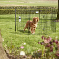 SAVIC - SAVIC Dog Park play pen - kutyaovi (fekete) kistestű kedvencek részére (8 elem) 65x8x94cm
