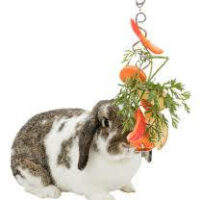 TRIXIE - Trixie Fruit Holder - gyümölcs tartó (krómozott fém) 25cm